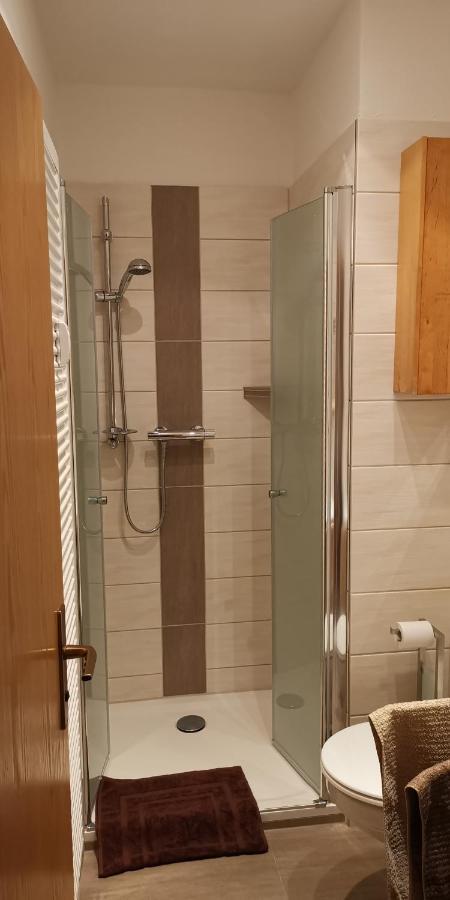 סבניץ Ferienwohnung Finkenbergweg מראה חיצוני תמונה